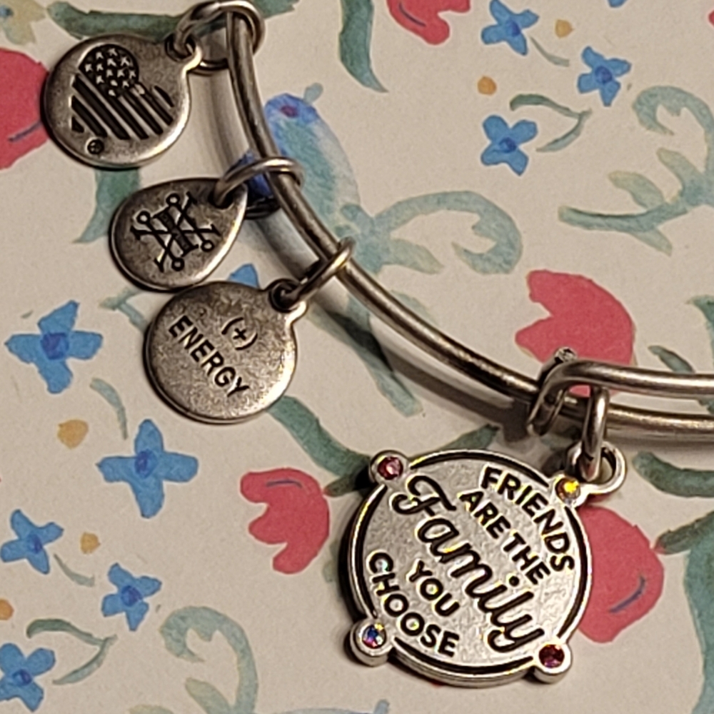 Alex & Ani Friends Are The Family You Choose Charm Bangle Bracelet Silver-tone - Picture 16 of 16